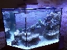 Tengeri akvárium